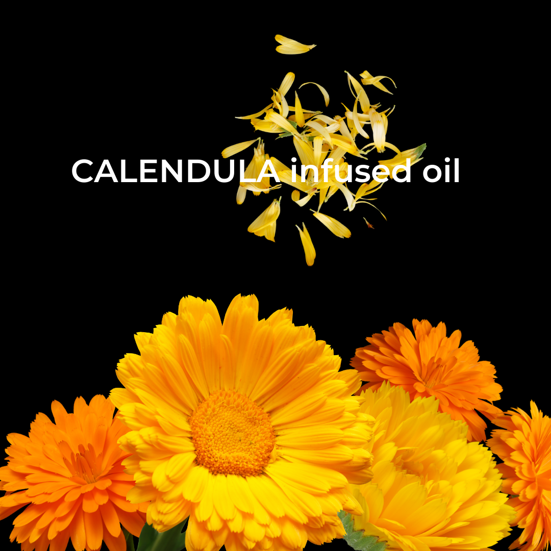 CALENDULA infused oil
