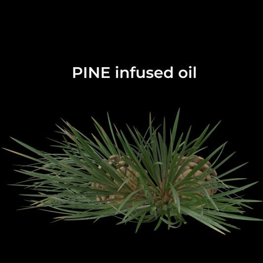 PINE infused oil