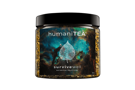 Buy Tea Online, Online Tea Store, Tea to Improve Memory, Holistic Teas, Teas to improve concentration